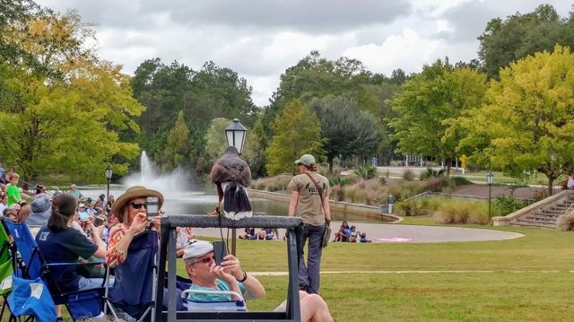 The Ponds Birds of Prey Event Summerville SC