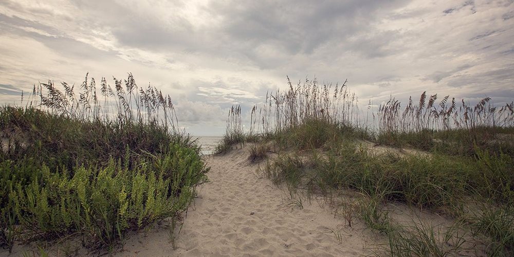 BeachDunes at RoyalOaks by DRB Coastal