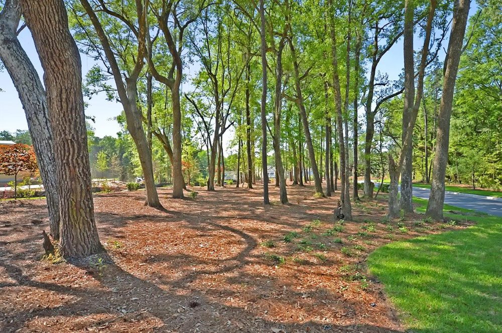 Woods at CoosawPreserve by Lennar