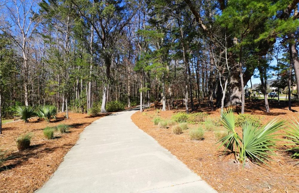 WalkingTrail at MarshsideTowns by Pulte