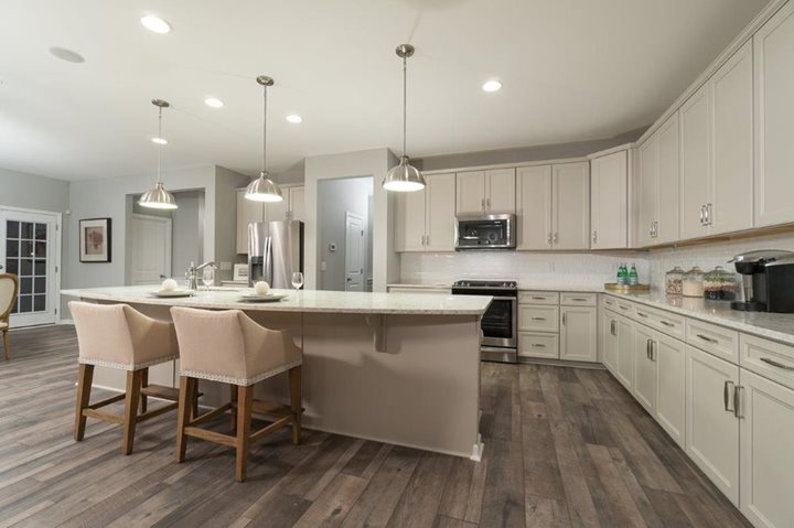 dan ryan builders spring grove kitchen