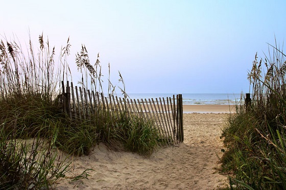 beach dunes charleston sc