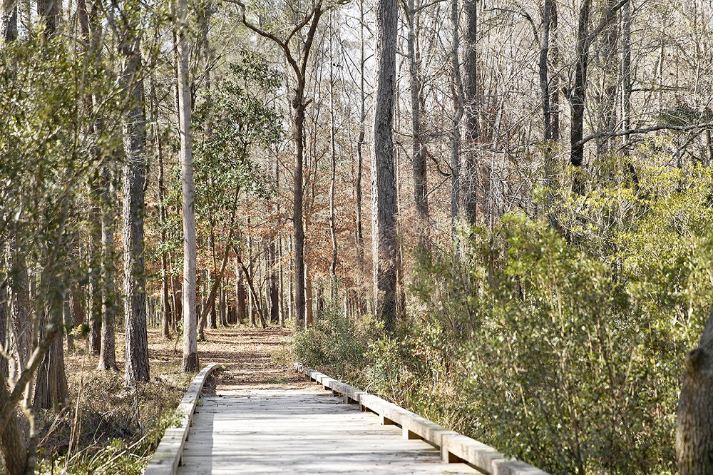 Poplar Grove Charleston SC Walking Trails