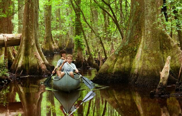 beidler_forest_swamp_canoe.jpg