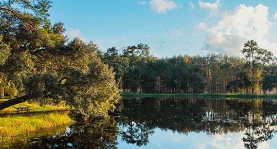 Summers Corner Summerville SC Community Pond