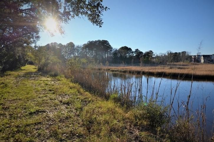 Marshside Towns Carolina Bay Pulte Homes Waterside