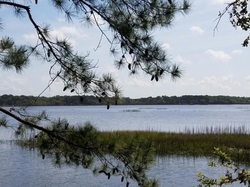 Poplar Grove Charleston SC Waterfront View