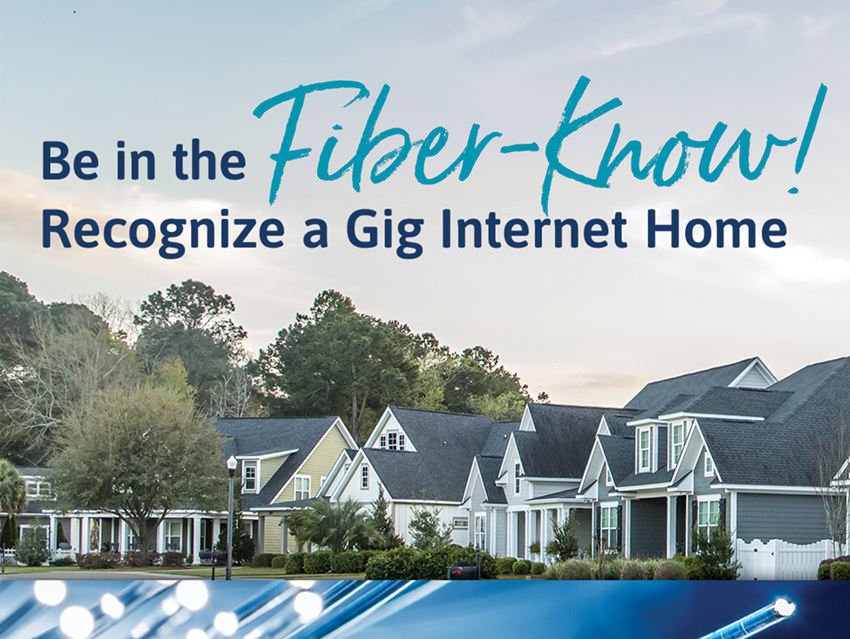 Home Telecom Fiber Homes