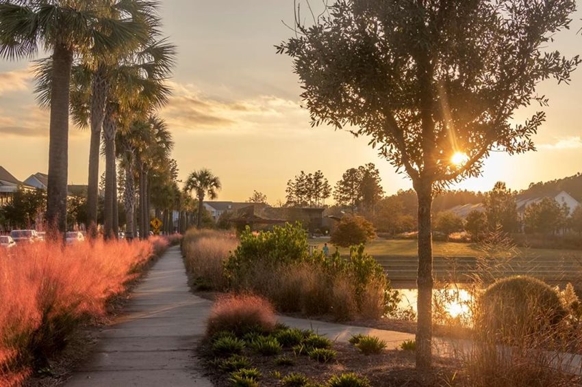 Nexton Sidewalk Sunset in Summerville SC