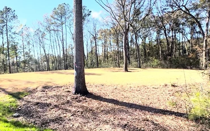 Wando Village Charleston SC - Community Park