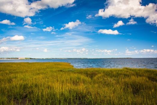 Johns Island Marsh Water View