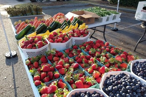 Berries and vegetables from Goose Creek Farmers Market