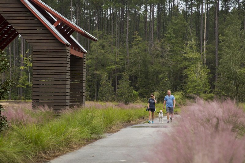 nexton walking trails summerville sc