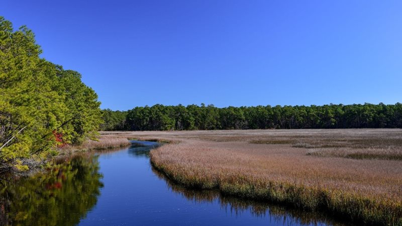 Pamlico Terrace DRB Homes - Awendaw SC Marsh