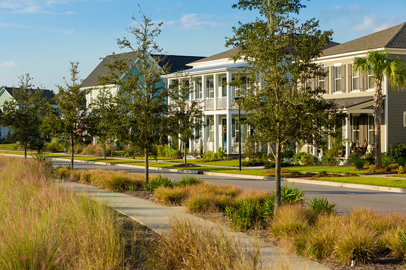 Nexton New Home Streetscape